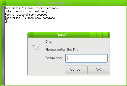 PIN entry for a password